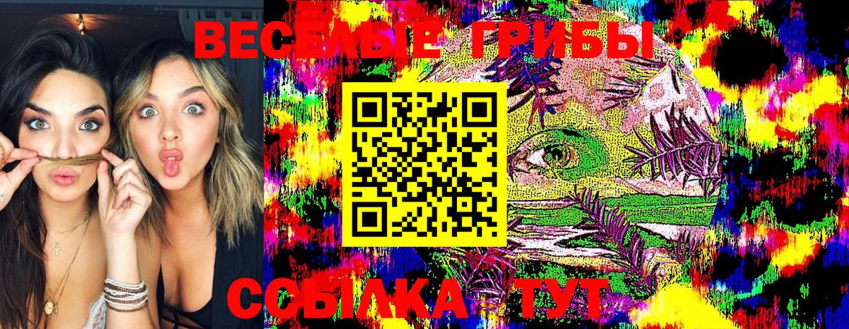 Псилоцибиновые грибы MAGIC MUSHROOMS  Галлюциногенные грибы прущие грибы  Краснознаменск  Вход с VPN 